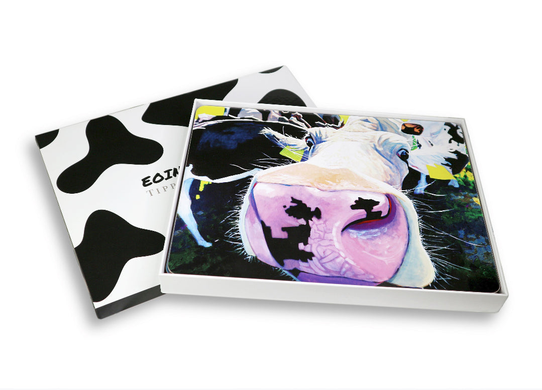 Set Of 6 Assorted Placemats